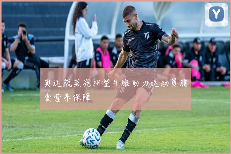 奥运蔬菜亮相望牛墩助力运动员膳食营养保障